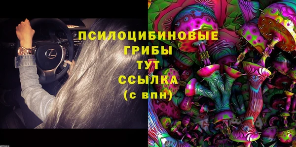 таблы Белокуриха