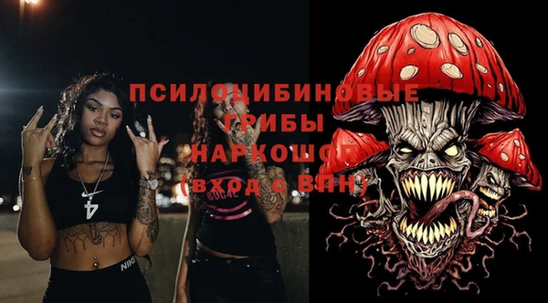 таблы Белокуриха