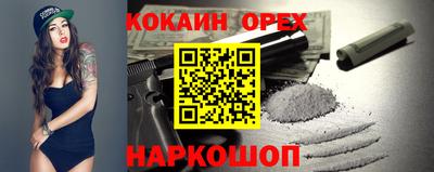 apvp Кингисепп