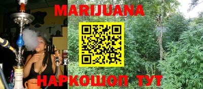 apvp Кингисепп