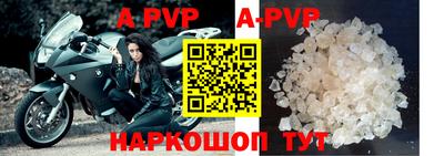 apvp Кингисепп