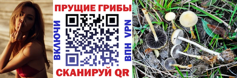 Галлюциногенные грибы MAGIC MUSHROOMS  omg вход  Среднеуральск 
