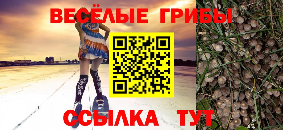 Псилоцибиновые грибы Magic Shrooms  Вход с VPN  Среднеуральск  Галлюциногенные грибы MAGIC MUSHROOMS 