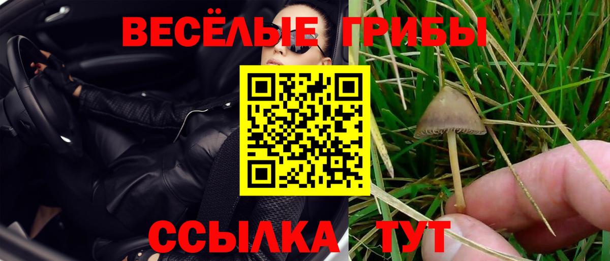 Галлюциногенные грибы Psilocybine cubensis Среднеуральск
