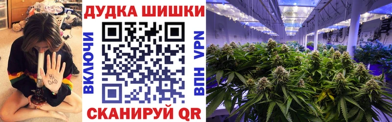 купить закладку  Среднеуральск  Каннабис сатива 